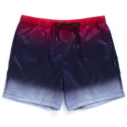 Gradation Board Shorts