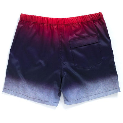 Gradation Board Shorts