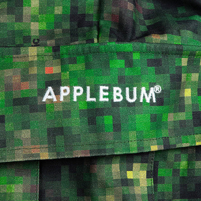 APPLEBUM × CRSB/RAIDBACK Camo Cargo Pants