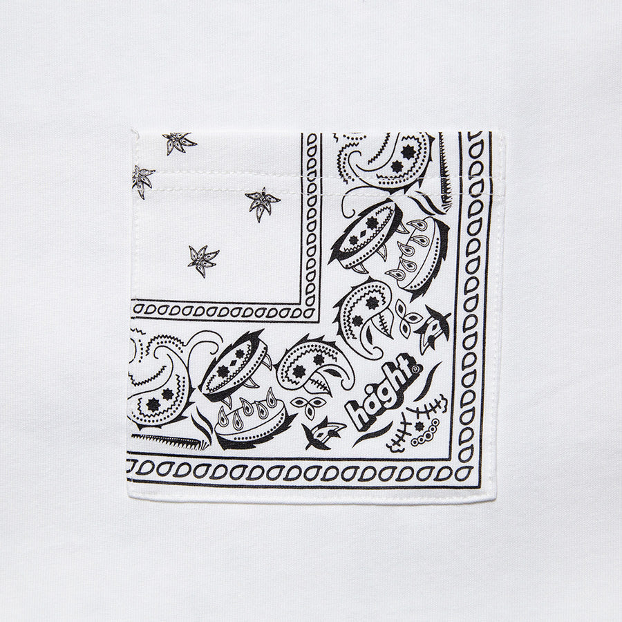 HAIGHT ( ヘイト ) × YARZ PAISLEY POCKET Tee コラボレーション Tシャツ